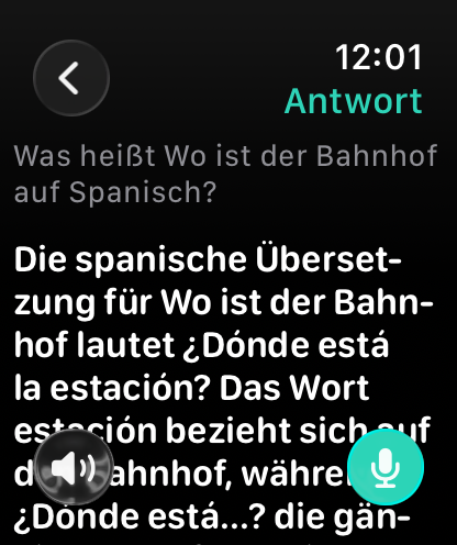 Übersetzen unterwegs